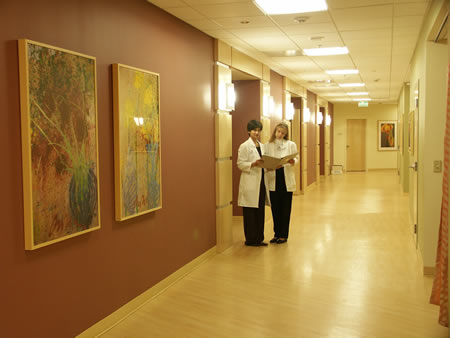Physicians standing in lobby with beautiful paintings